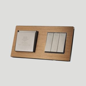 Dual-Function Mechanical Switch: Precision Control for Modern Spaces