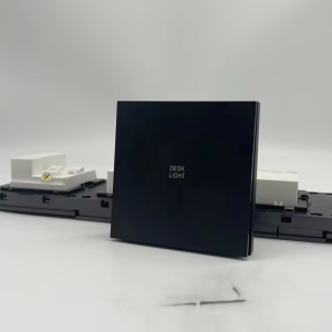 Smart Luxury Single Pole Wall Switch for Home 110v/240v 10A Hotel Switch PC Material