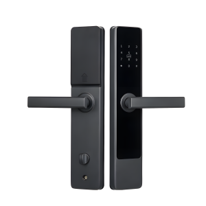 Hotel Smart Door Lock Fingerprint Lock Passcode Lock Magnetic Card Lock HG-MM200-T